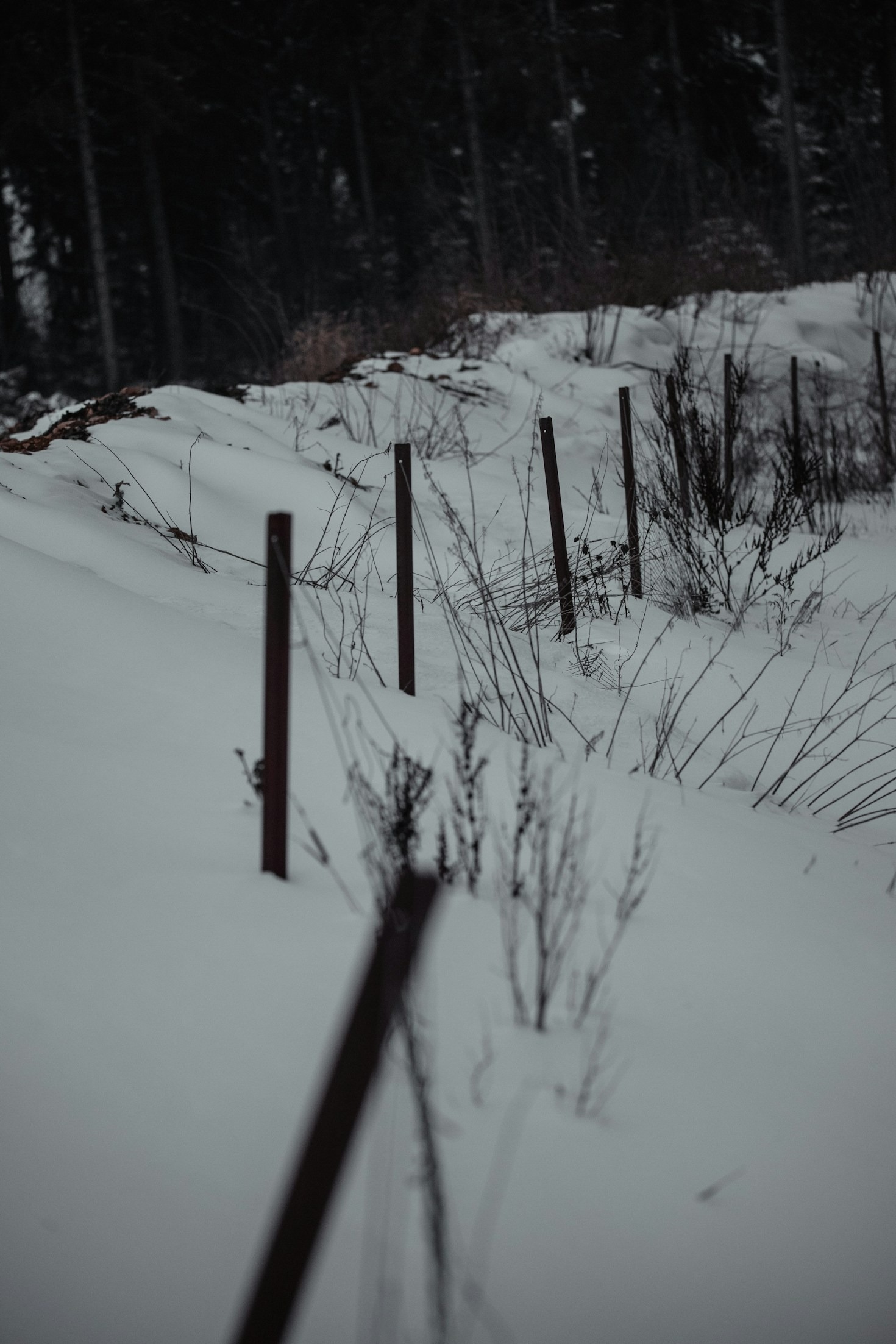 Why Choose Prestige Construction for Your Next Project